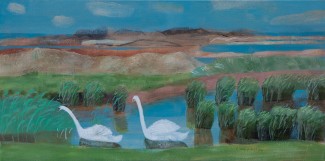 swans near the watch house, blakeney